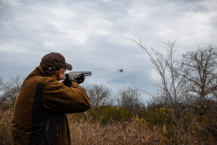 Tatai vadászterület